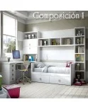 Composición 1