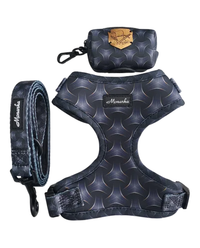 Árnes, correa y porta bolsas para todos los perros cachorros, adultos y mayores (Modelo Toletum)