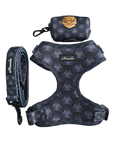 CONJUNTO DE ARNÉS PARA PERRO (Modelo Toletum)