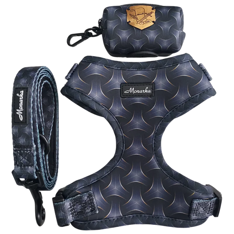 Árnes, correa y porta bolsas para todos los perros cachorros, adultos y mayores (Modelo Toletum) Árnes, correa y porta bolsas para todos los perros cachorros, adultos y mayores (Modelo Toletum)