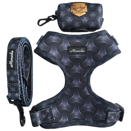 Árnes, correa y porta bolsas para todos los perros cachorros, adultos y mayores (Modelo Toletum)
