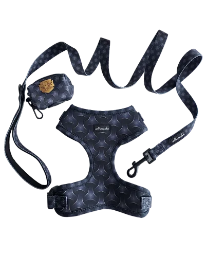 Árnes, correa y porta bolsas para todos los perros cachorros, adultos y mayores (Modelo Toletum)