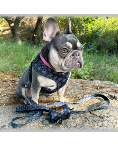 Árnes, correa y porta bolsas para todos los perros cachorros, adultos y mayores (Modelo Toletum)