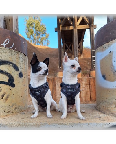 Árnes, correa y porta bolsas para todos los perros cachorros, adultos y mayores (Modelo Toletum)