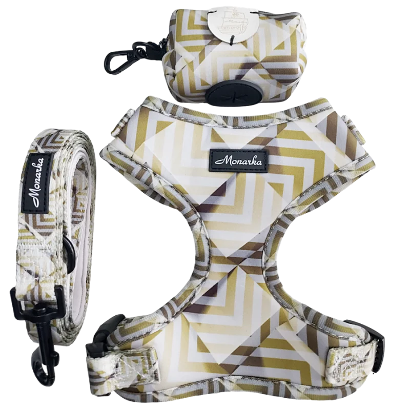 Árnes, correa y porta bolsas para todos los perros cachorros, adultos y mayores (Modelo Lingote)
