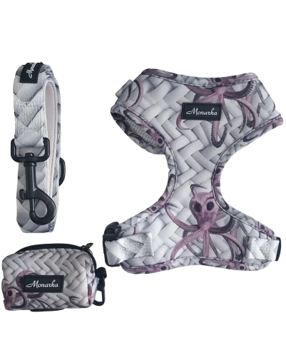 Árnes, correa y porta bolsas para todos los perros cachorros, adultos y mayores (Modelo Feria)