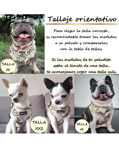 Árnes, correa y porta bolsas para todos los perros cachorros, adultos y mayores (Modelo Lingote)