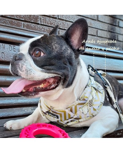 CONJUNTO DE ARNÉS PARA PERRO (Modelo Lingote)