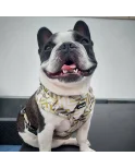 Árnes, correa y porta bolsas para todos los perros cachorros, adultos y mayores (Modelo Lingote)