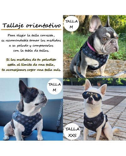 Árnes, correa y porta bolsas para todos los perros cachorros, adultos y mayores (Modelo Toletum)