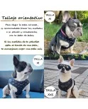 Árnes, correa y porta bolsas para todos los perros cachorros, adultos y mayores (Modelo Toletum) Árnes, correa y porta bolsas para todos los perros cachorros, adultos y mayores (Modelo Toletum)