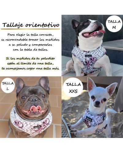 Árnes, correa y porta bolsas para todos los perros cachorros, adultos y mayores (Modelo Feria)