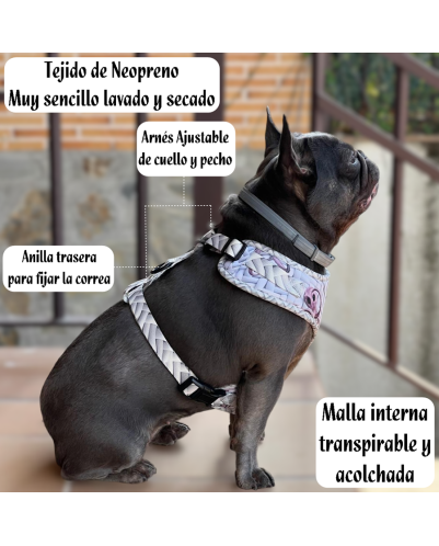 CONJUNTO DE ARNÉS PARA PERRO (Modelo Feria)