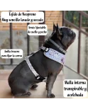 Árnes, correa y porta bolsas para todos los perros cachorros, adultos y mayores (Modelo Feria)