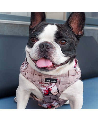 Árnes, correa y porta bolsas para todos los perros cachorros, adultos y mayores (Modelo Chin Chin)