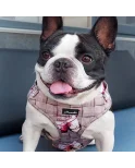 Árnes, correa y porta bolsas para todos los perros cachorros, adultos y mayores (Modelo Chin Chin) Árnes, correa y porta bolsas para todos los perros cachorros, adultos y mayores (Modelo Chin Chin)