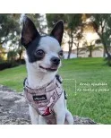 Árnes, correa y porta bolsas para todos los perros cachorros, adultos y mayores (Modelo Chin Chin) Árnes, correa y porta bolsas para todos los perros cachorros, adultos y mayores (Modelo Chin Chin)