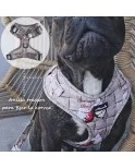 Árnes, correa y porta bolsas para todos los perros cachorros, adultos y mayores (Modelo Chin Chin) Árnes, correa y porta bolsas para todos los perros cachorros, adultos y mayores (Modelo Chin Chin)