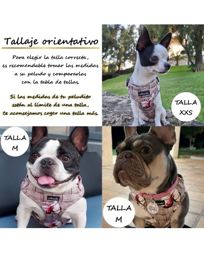 Árnes, correa y porta bolsas para todos los perros cachorros, adultos y mayores (Modelo Chin Chin)