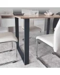 Patas mesa, Juego 2 unidades, Metálicas, salón comedor, de centro, jardín. Modelo FORTE Patas mesa, Juego 2 unidades, Metálicas, salón comedor, de centro, jardín. Modelo FORTE