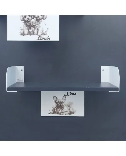 ESTANTERÍA MODELO SAGA PREMIUM T