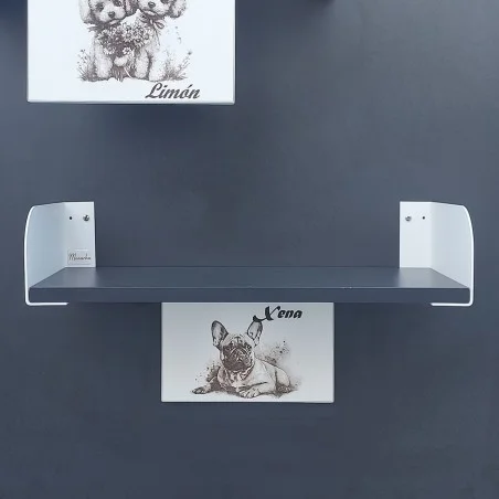 ESTANTERÍA MODELO SAGA PREMIUM T