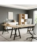 Patas para mesa, Juego 2 unidades, Modelo NEUS, Metálicas, Salón, oficina, Estudio, Dormitorio. Patas para mesa, Juego 2 unidades, Modelo NEUS, Metálicas, Salón, oficina, Estudio, Dormitorio.
